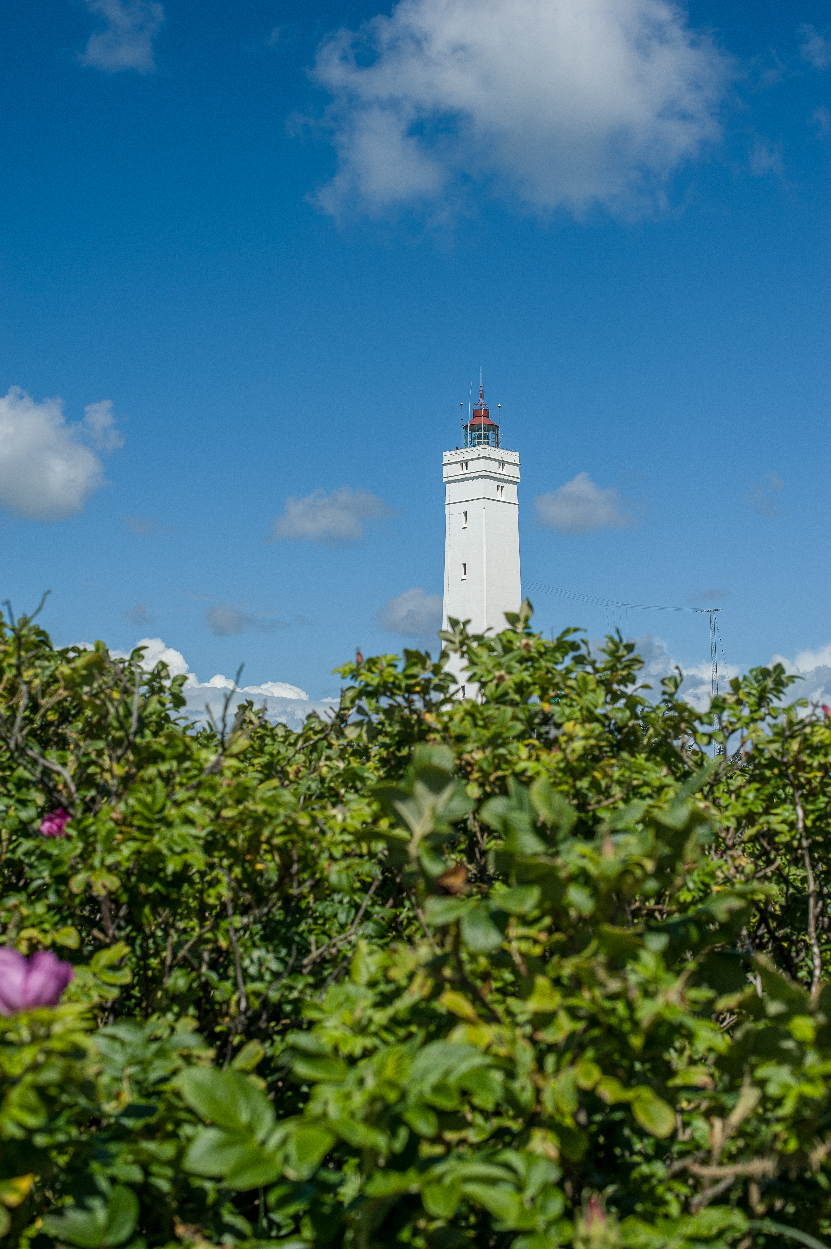 Smukt klitlandskab med hvidt fyrtårn ved Vestjyllands kyst - perfekt ferieoplevelse