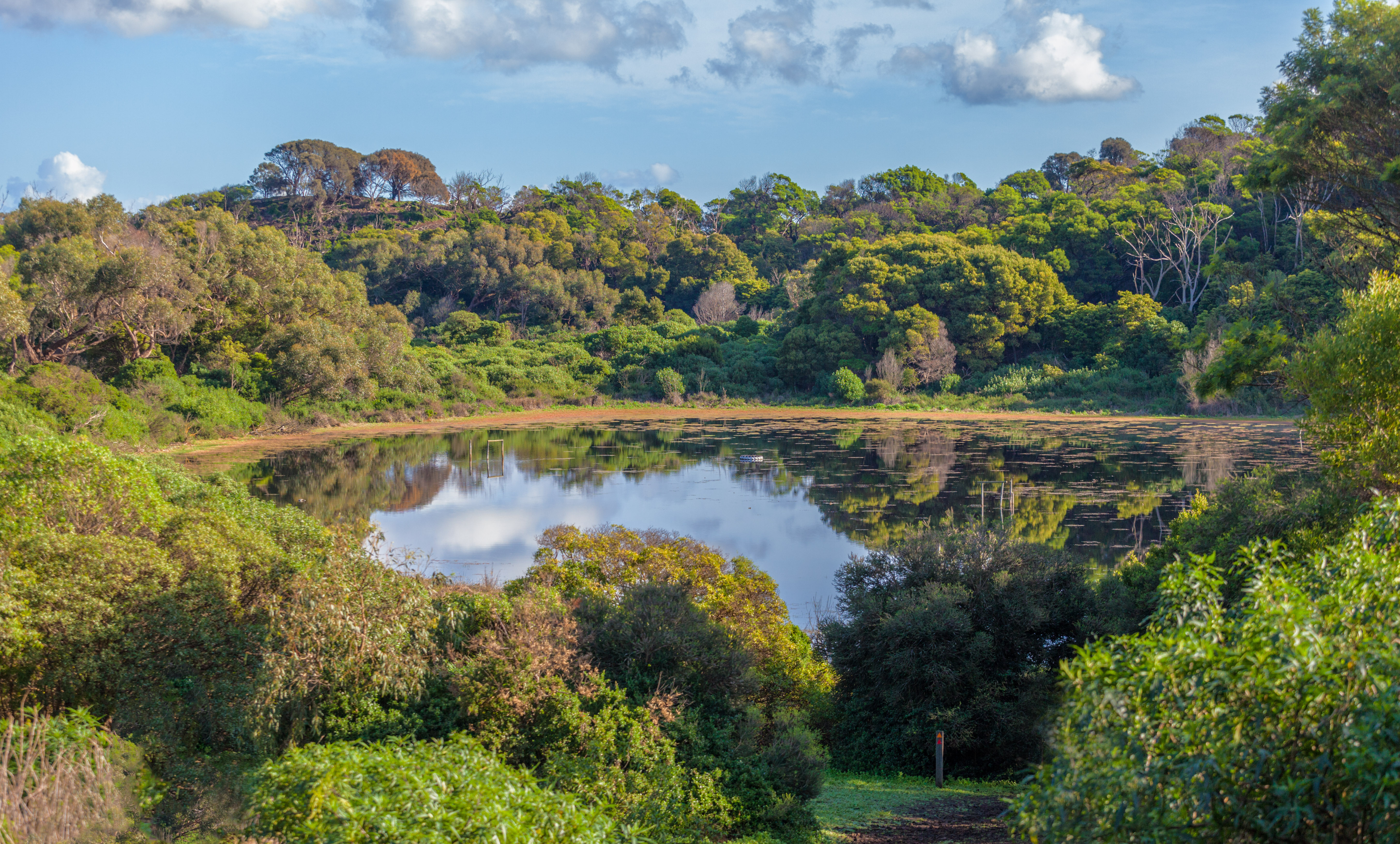Smuk vulkansk sø omgivet af grøn vegetation i Victoria Australien