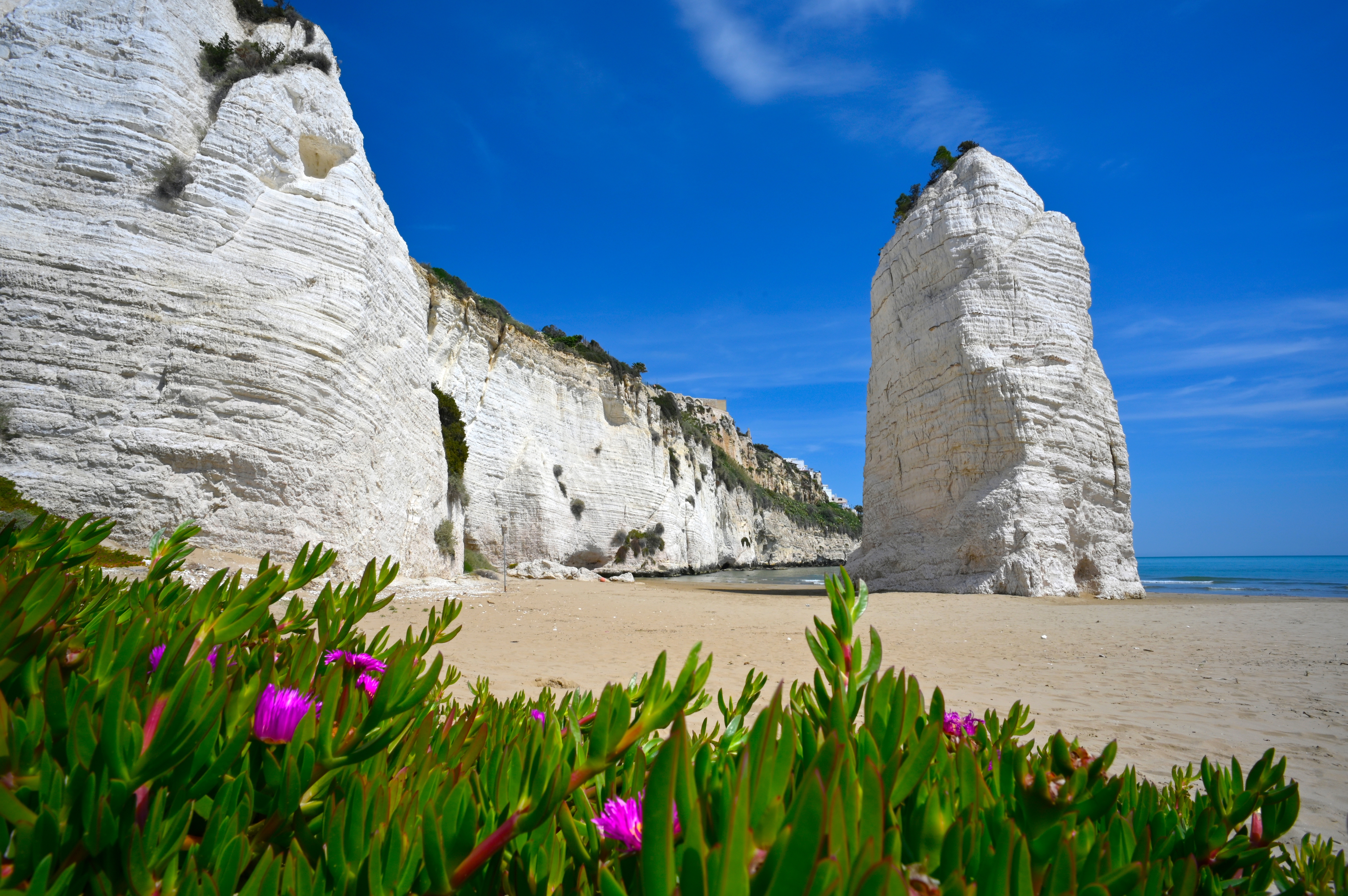 Den smukke Pizzomunno-monolith ved Viestes hvide sandstrand i Gargano, Italien, med lyserøde vårblomster i forgrunden og azurblåt middelhav i horisonten