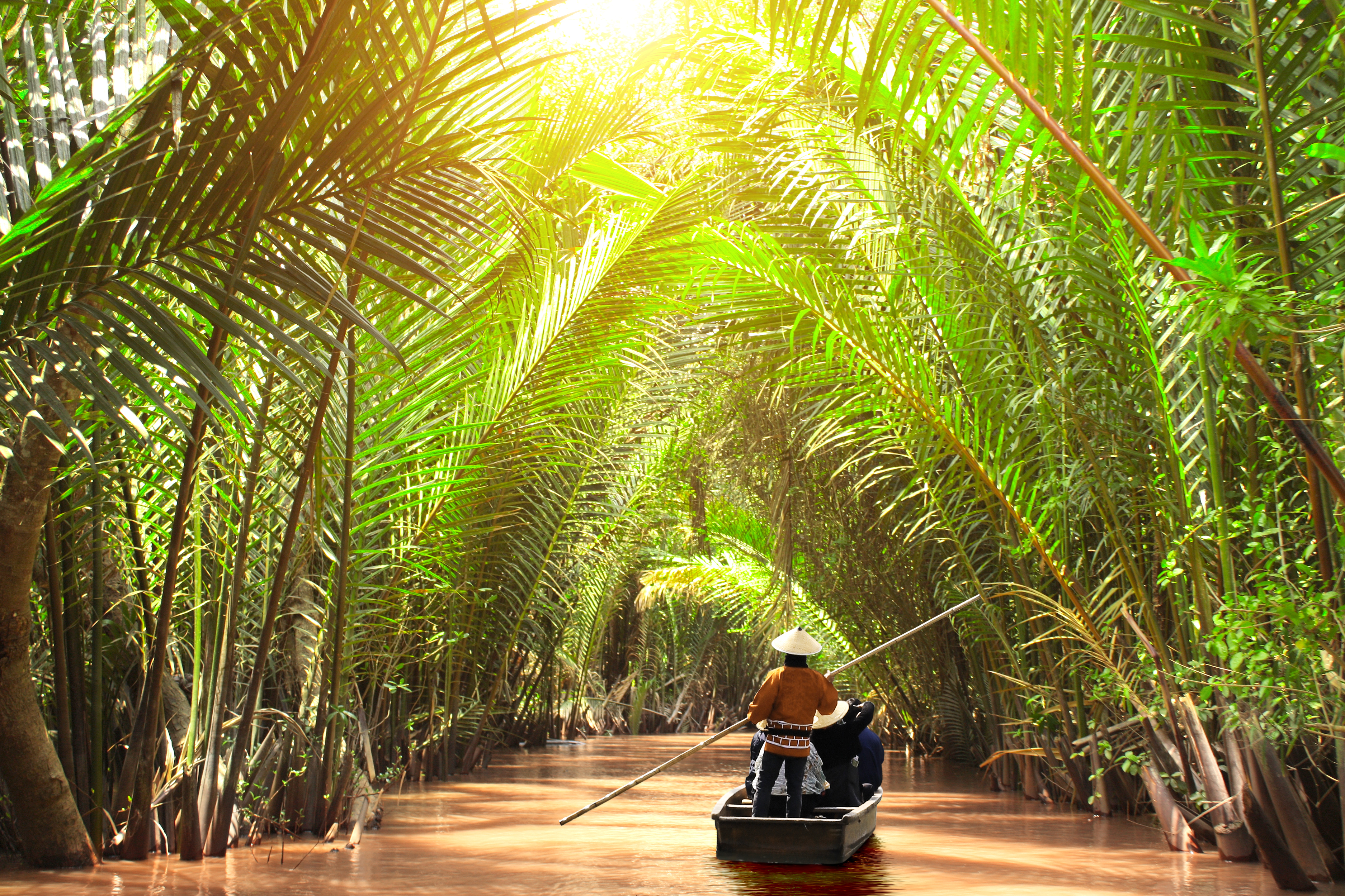 Sejltur gennem smalle kanaler i Mekong Delta med frodig tropisk natur