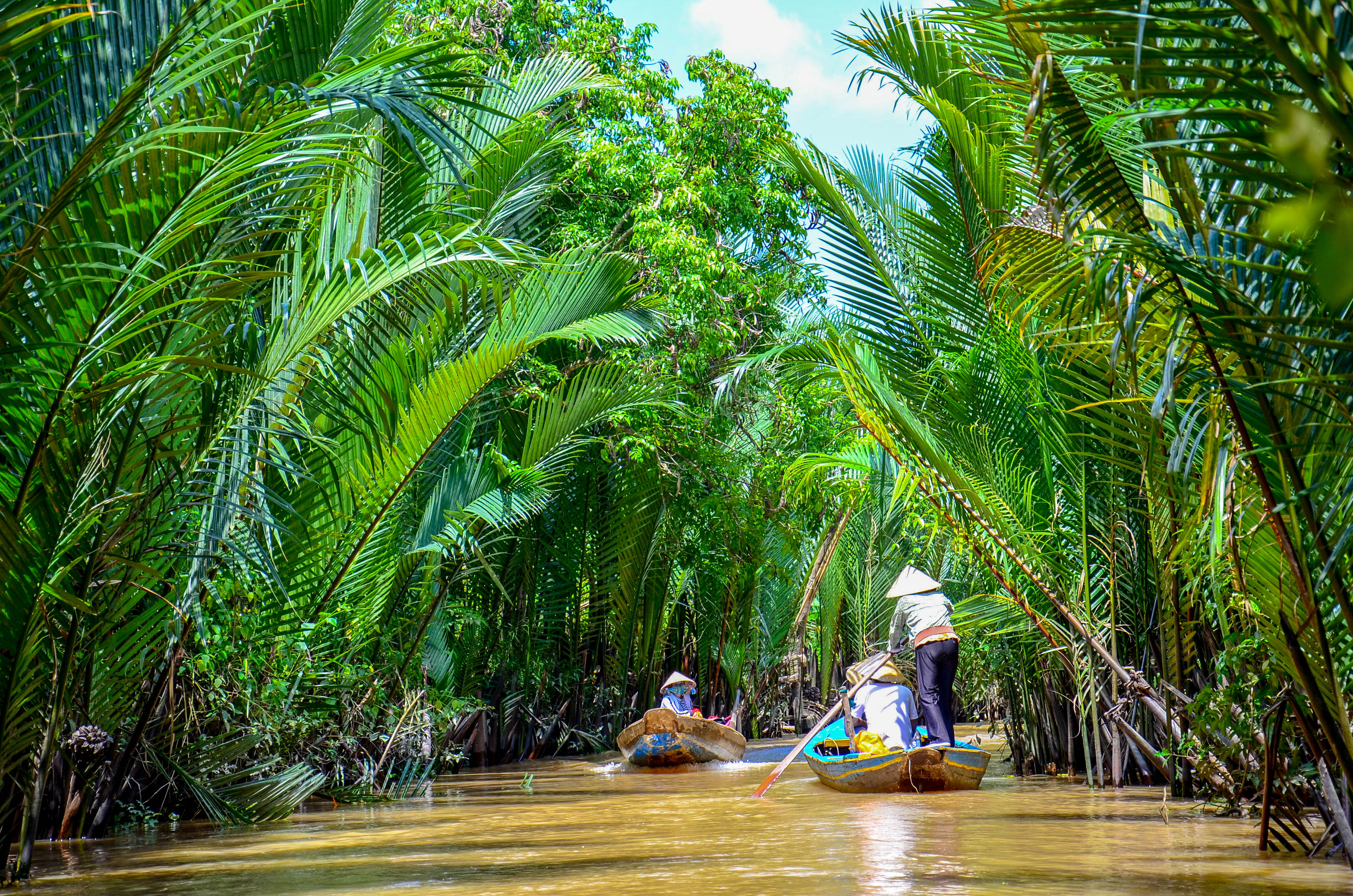 Autentisk båd oplevelse i Vietnams Mekong Delta med lokale guider og frodig palmeskov