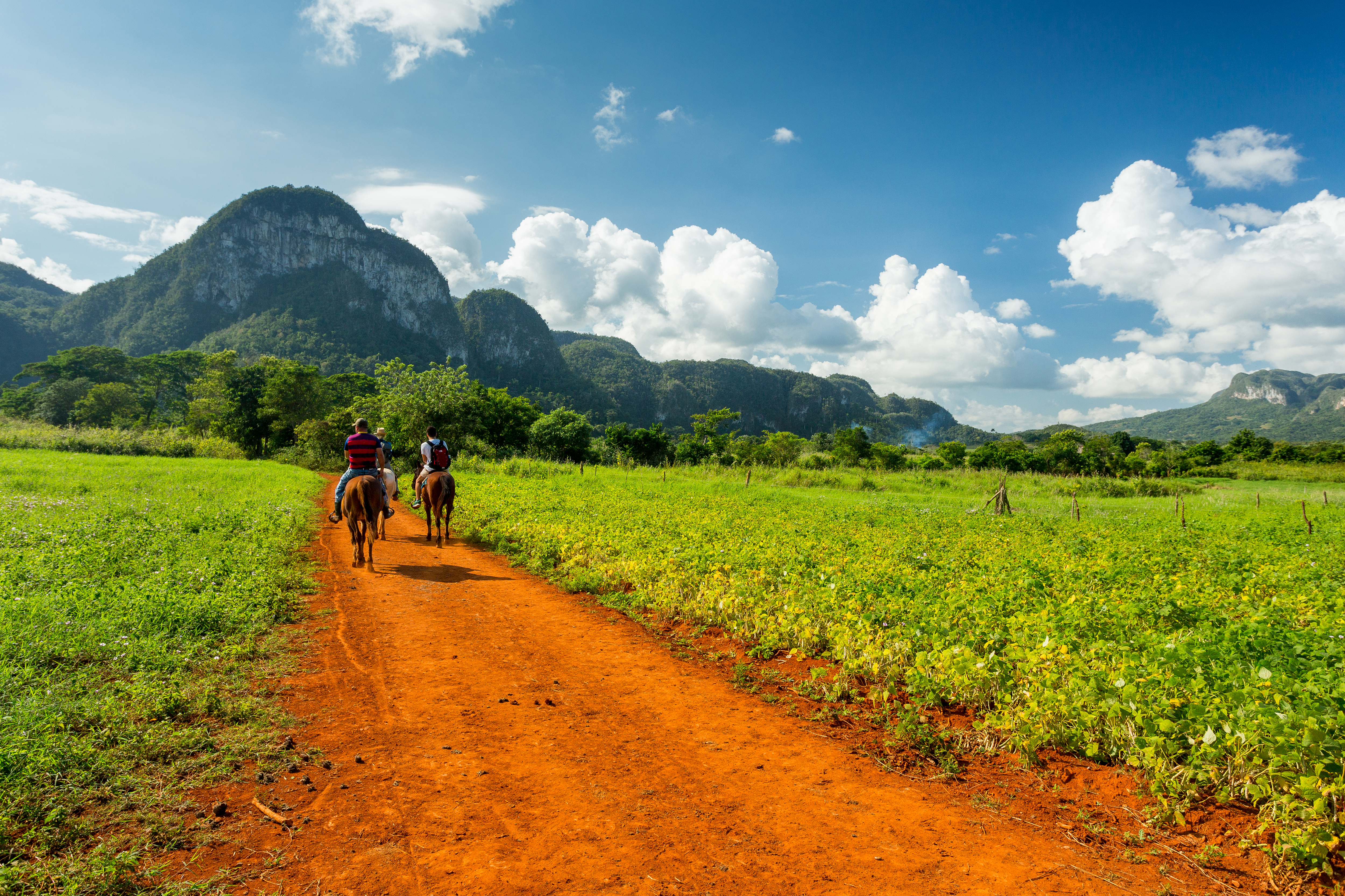 Hesteture i den smukke Vinales-dal på Cuba mellem tobaksmarker og bjerge