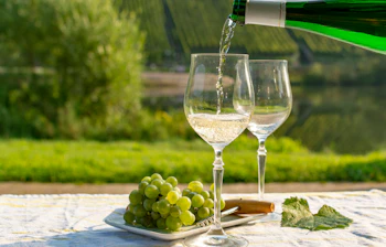 Vingårdsoplevelse med hvidvin der hældes i glas ved friske druer