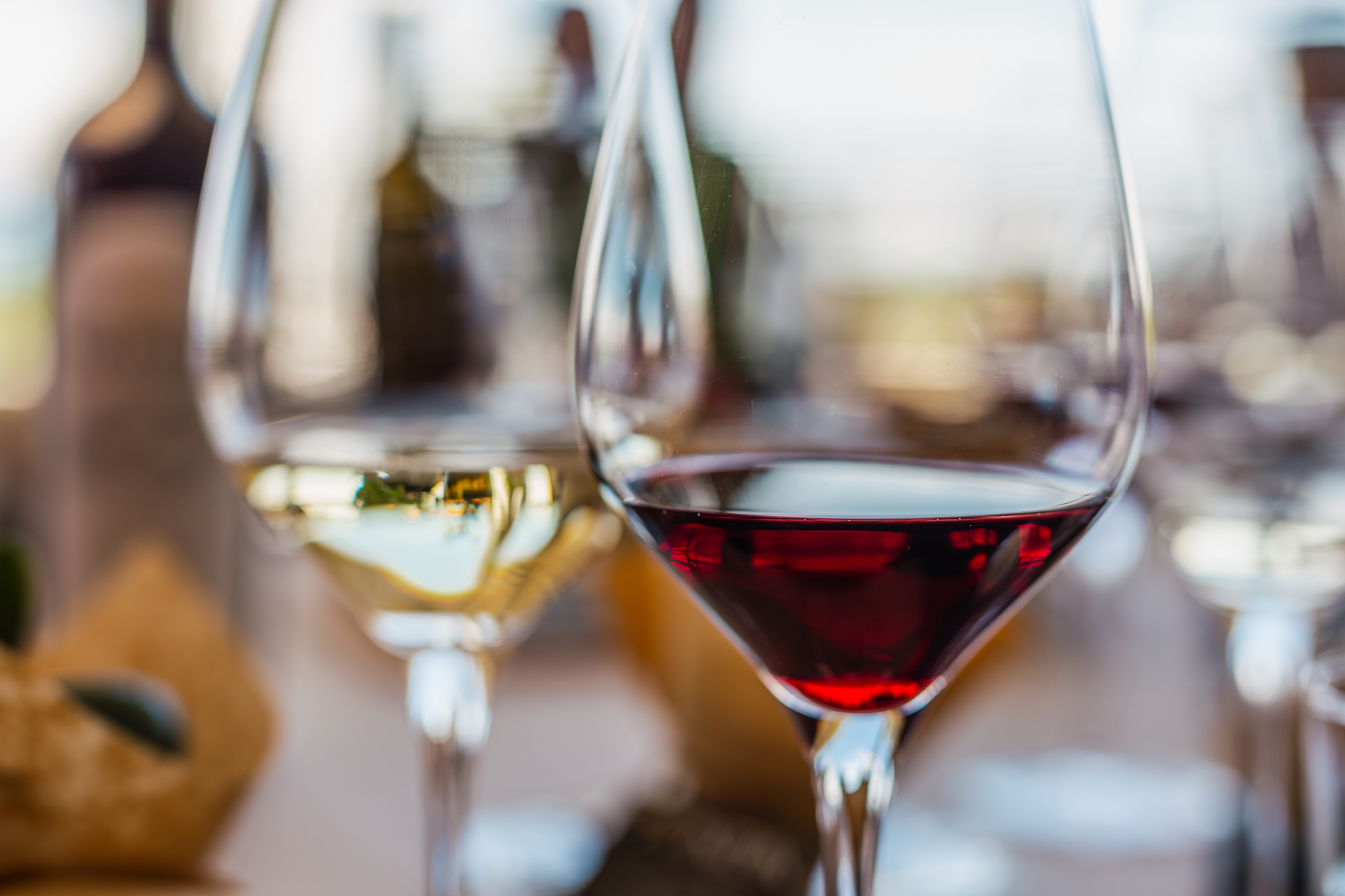 Vinglas med rød og hvid vin under smagning på portugisisk vingård i Alentejo
