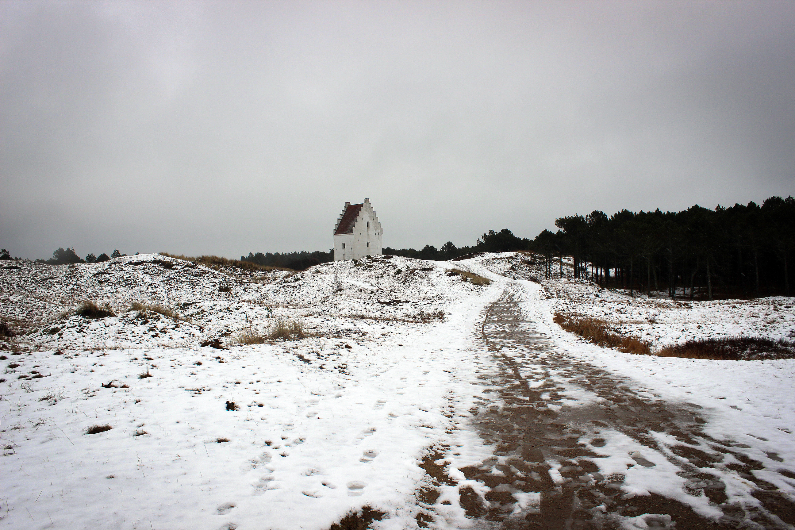 Vinterlandskab ved den tilsandede kirke i Skagen med snedækkede marker