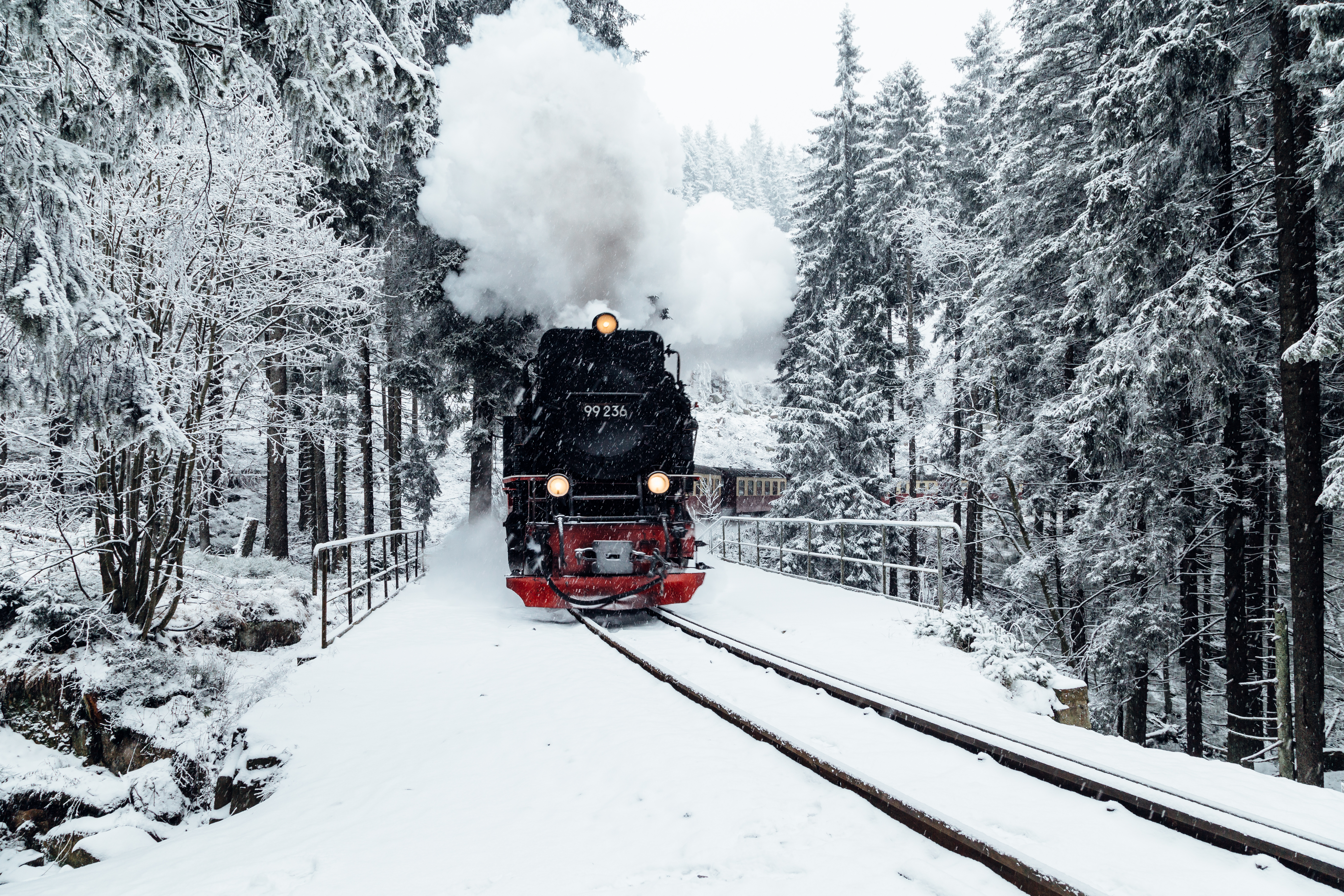 Nostalgisk dampbane gennem frostvejr og sne i Harz bjergene