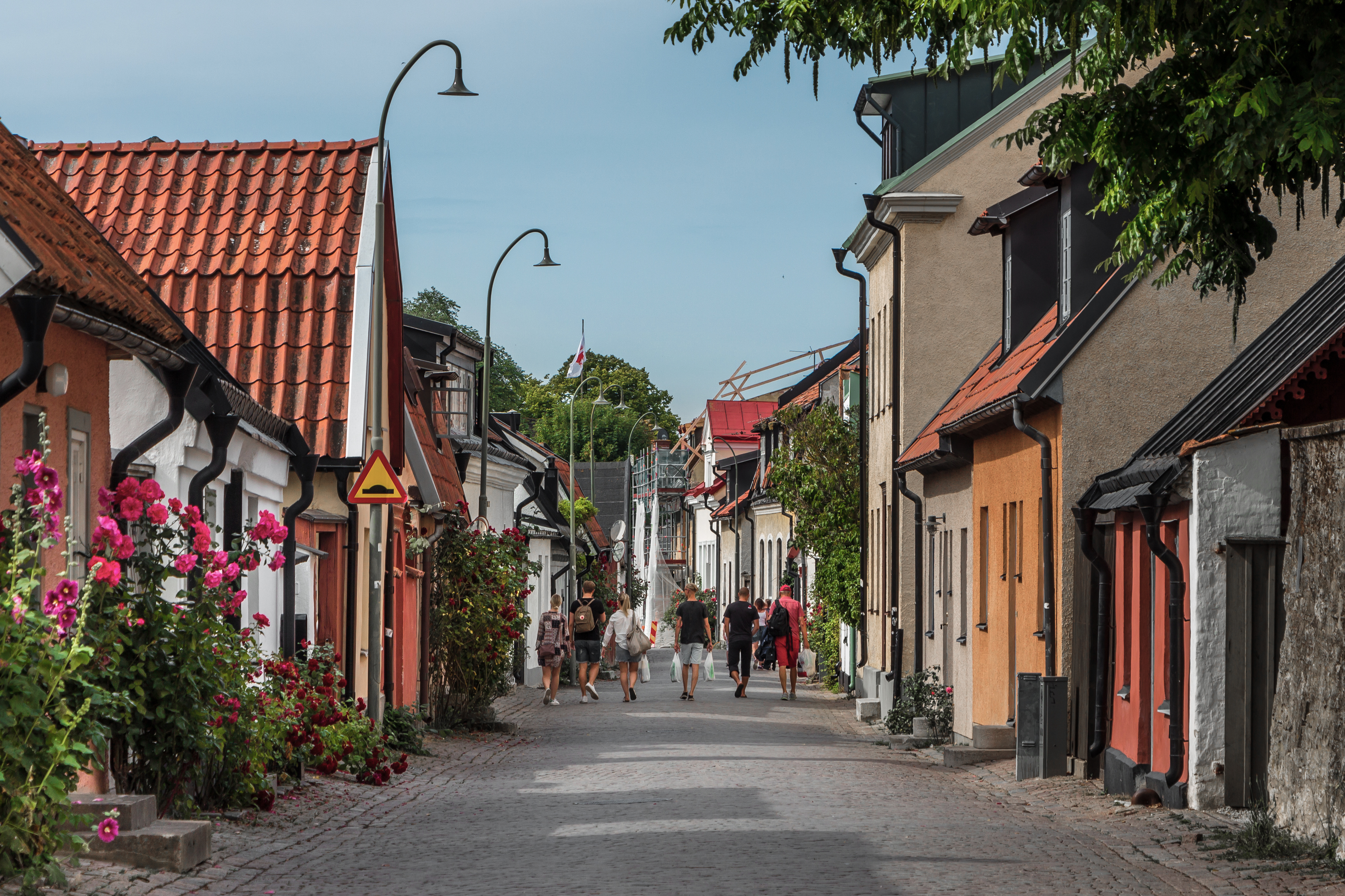 Stemningsfuld gade i den historiske middelalderby Visby på Gotland med farverige huse, brostensbelægning og blomstrende stokroser