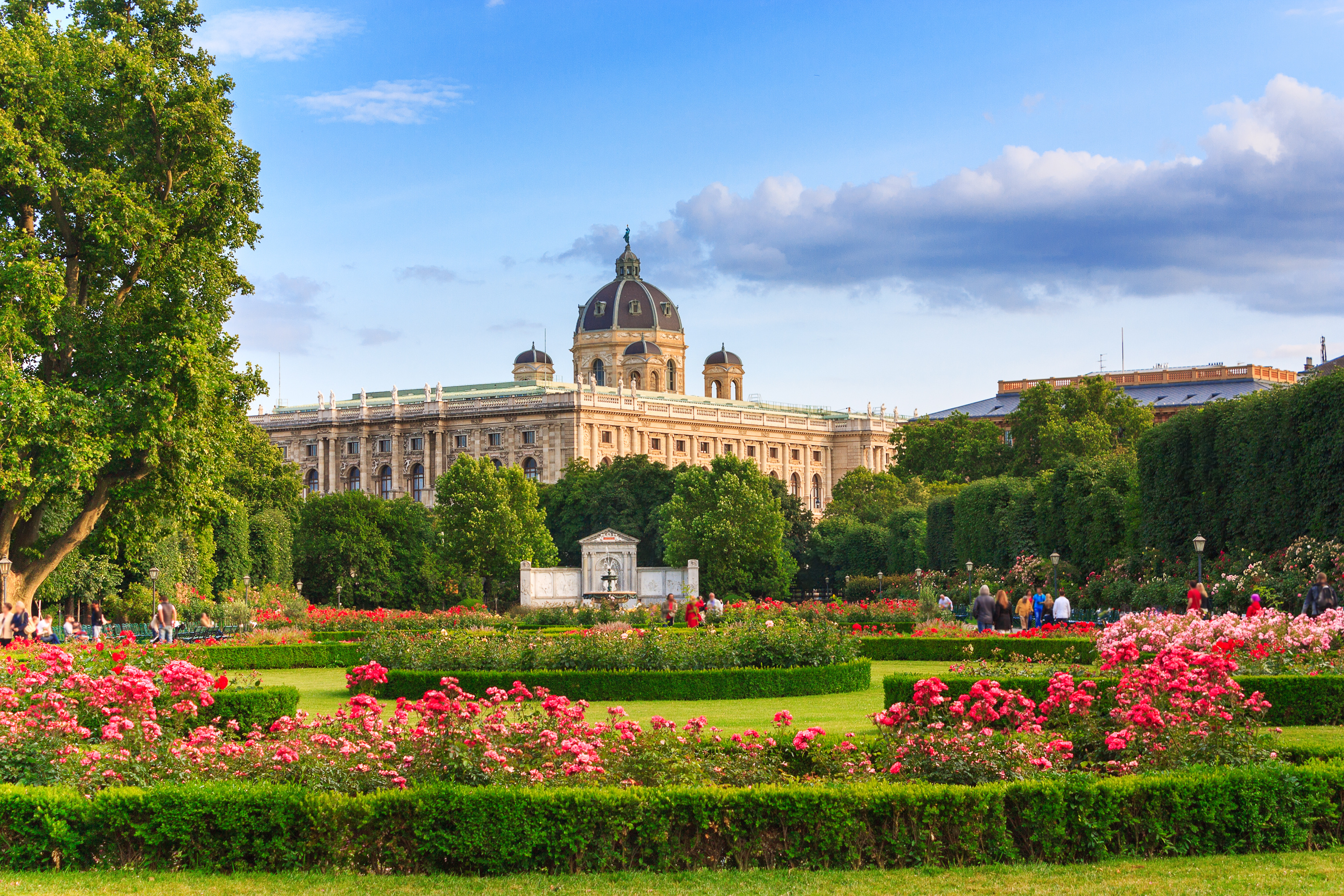 Volksgarten i Wien om sommeren med blomstrende roser i røde og lyserøde nuancer foran det Naturhistoriske Museums karakteristiske kuppel