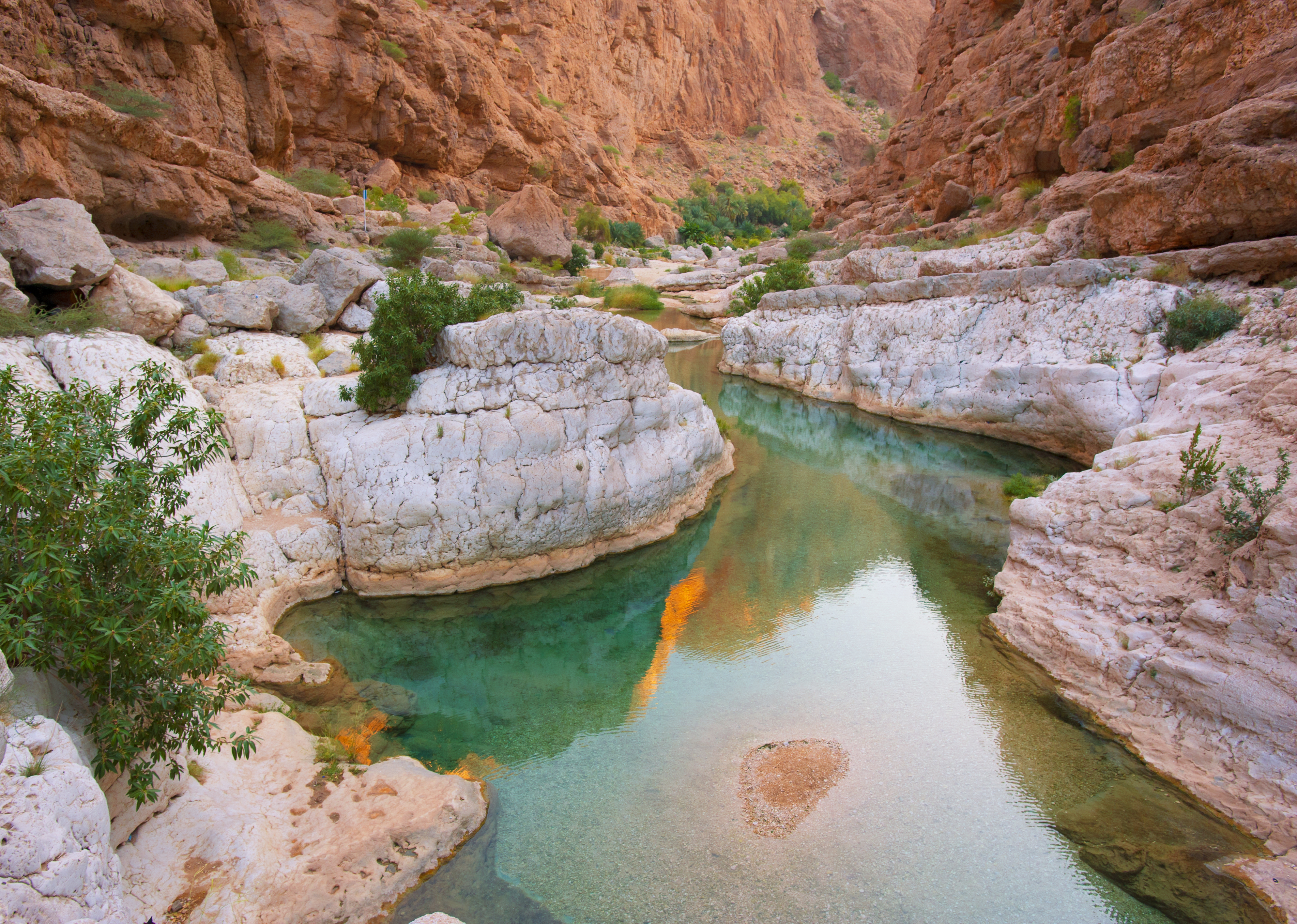 Fascinerende naturpool med krystalklart vand ved Wadi Bani Khalid i Omans bjergrige ørkenlandskab med palmer