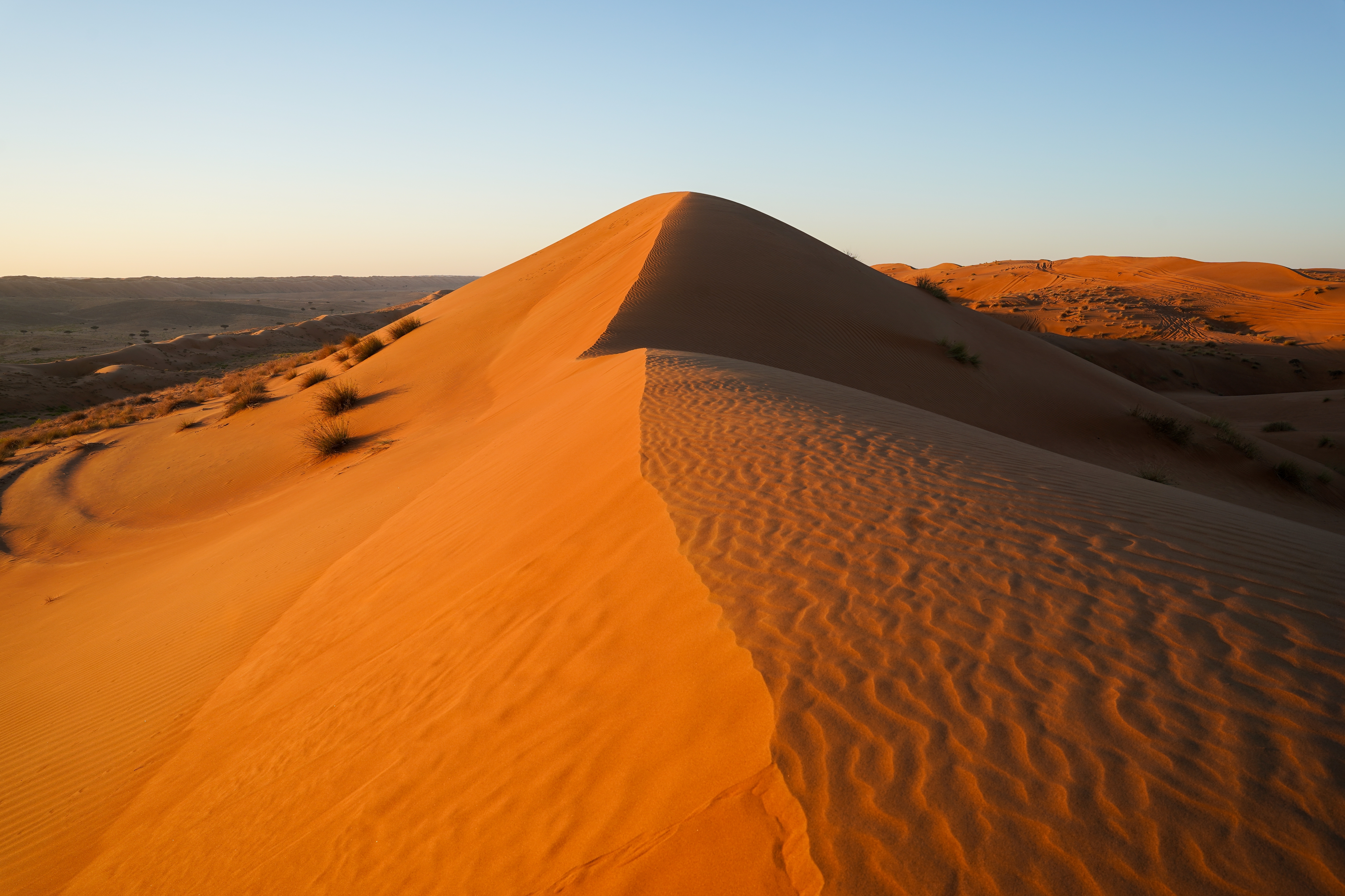 Vidstrakte orange sanddyner i Wahiba Sands ørkenen i Oman med karakteristiske vindmønstre i sandet