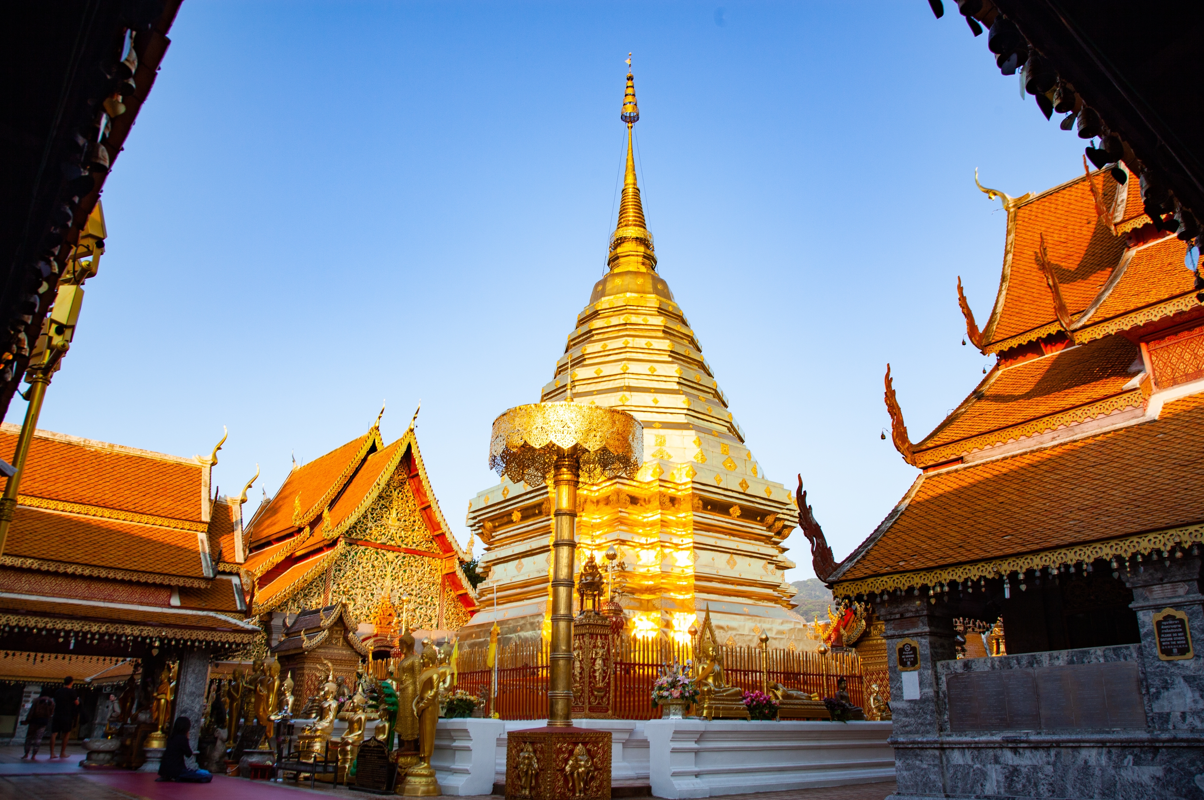 Wat Doi Suthep tempel med gylden pagode og traditionel thai arkitektur i Chiang Mai