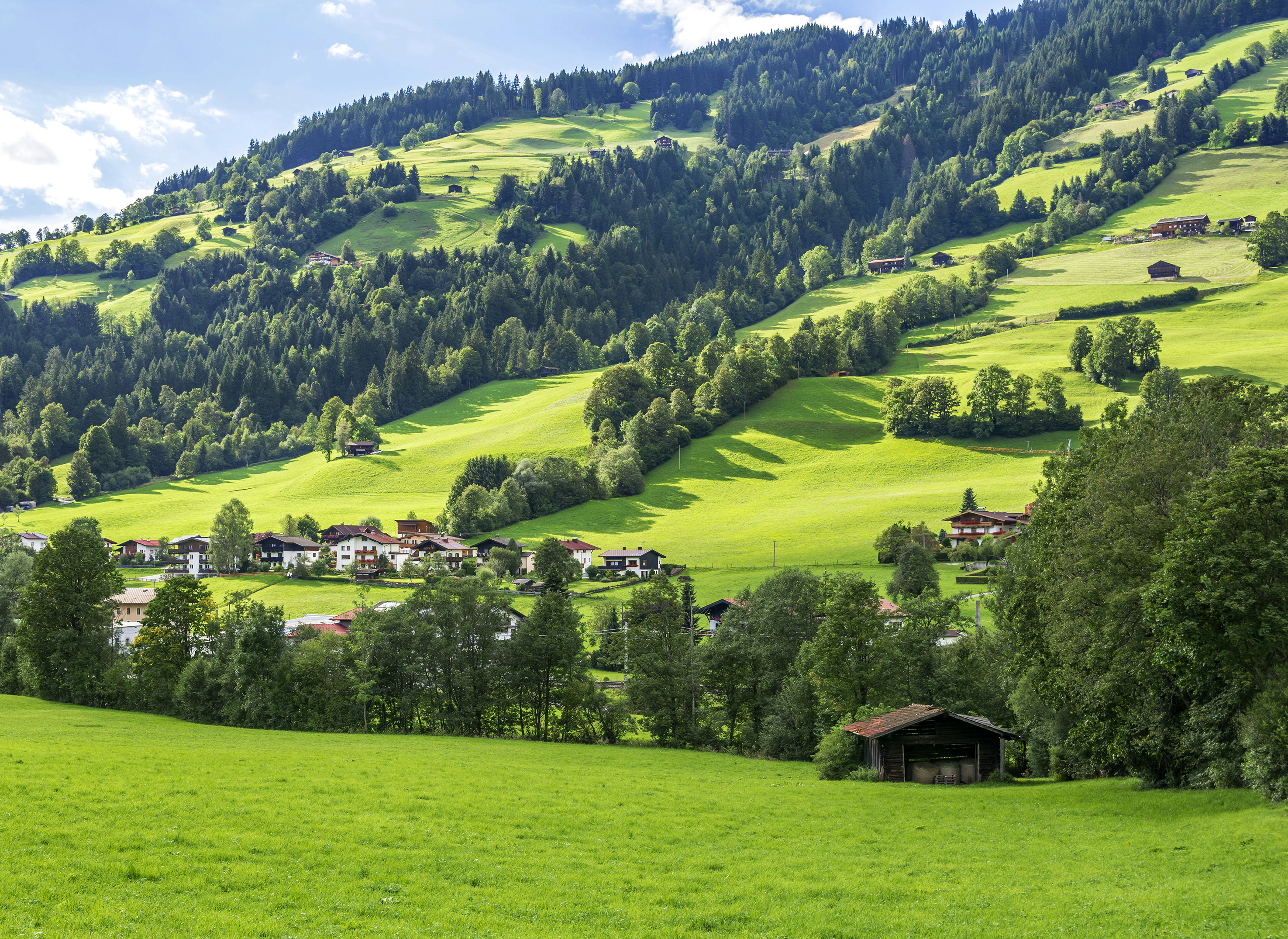 Frodig sommerudsigt over Westendorf i Brixental-dalen med grønne, skovklædte bjerge og hyggelige gårde i Tyrol, Østrig