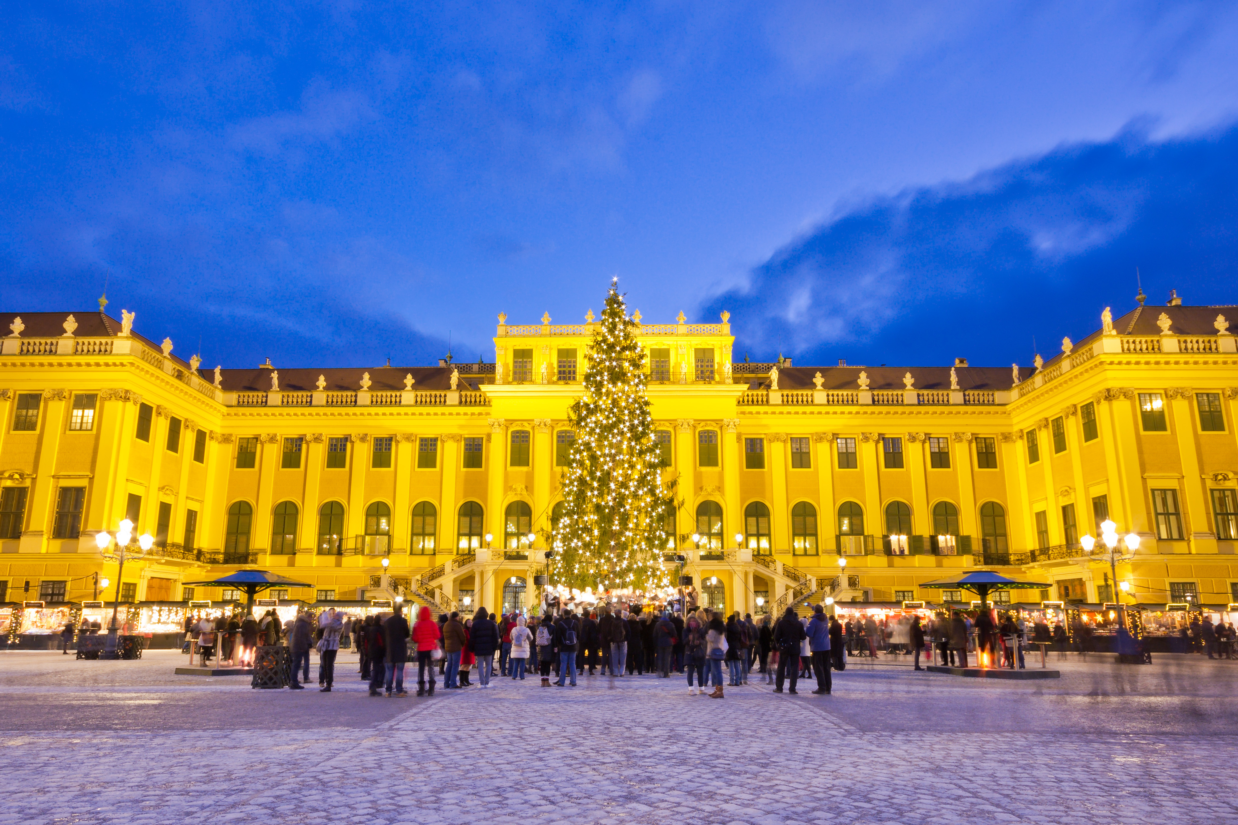 Julemarked ved Schönbrunn Slot i Wien med oplyst gul facade og stort juletræ ved aftentide