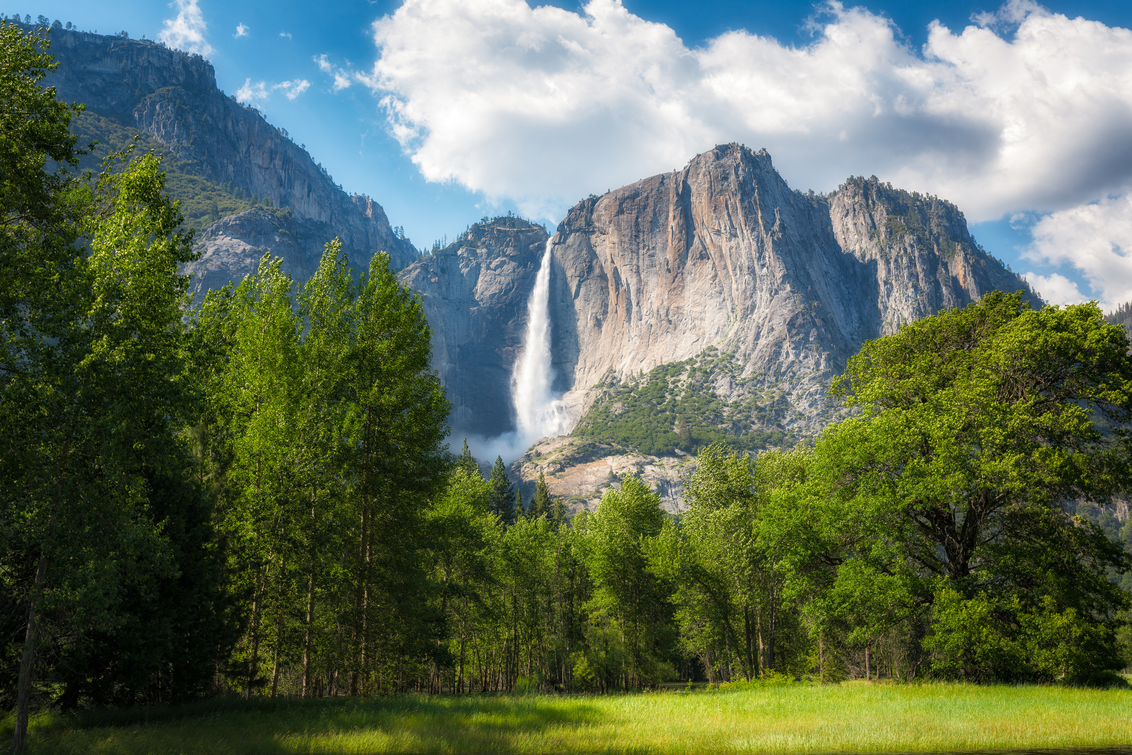 Pragtfuld udsigt til Yosemite Falls med groenne traeer og eng i forgrunden og dramatiske granitbjerge