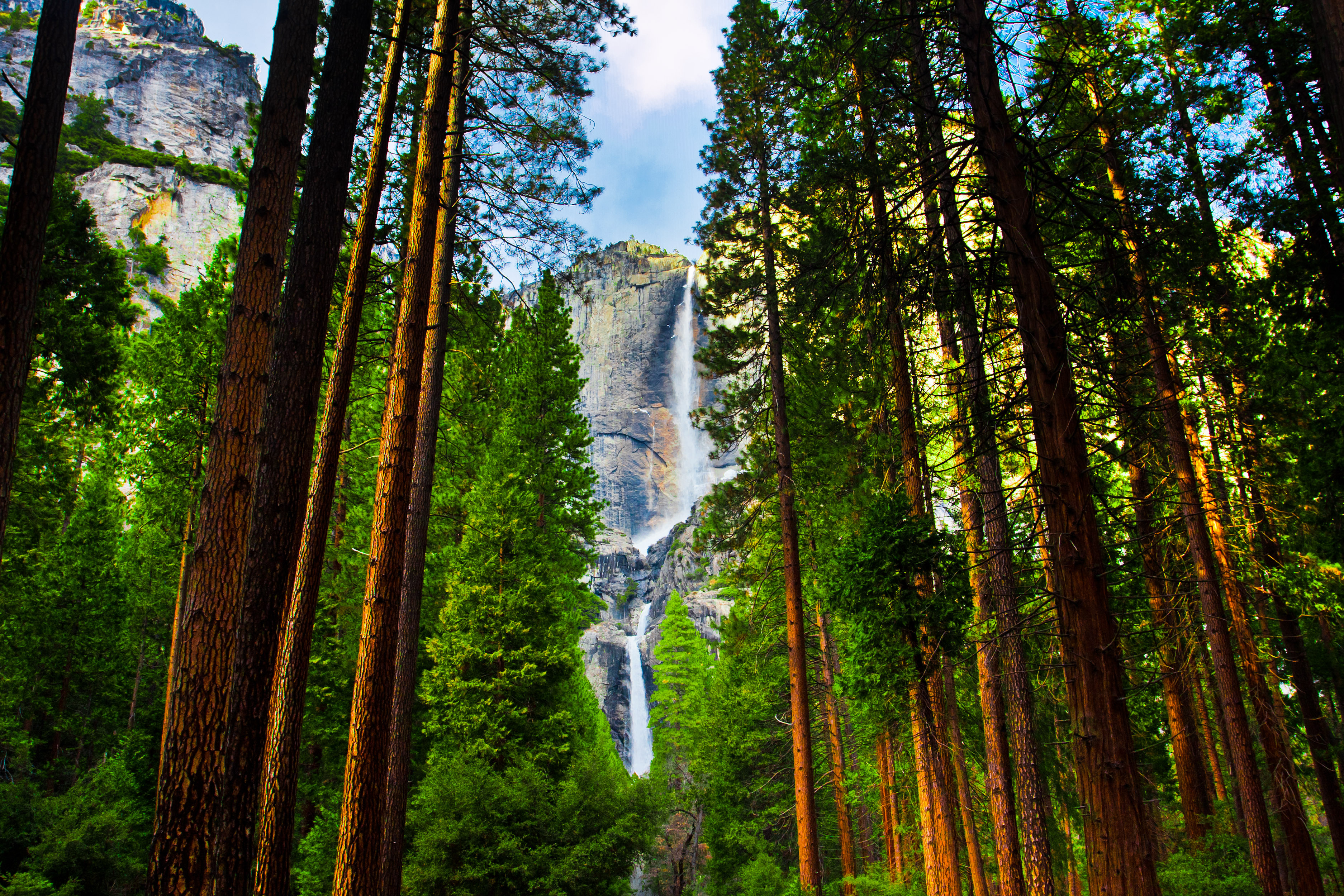 Storslået Yosemite vandfald omkranset af høje sequoia træer i Californiens berømte nationalpark