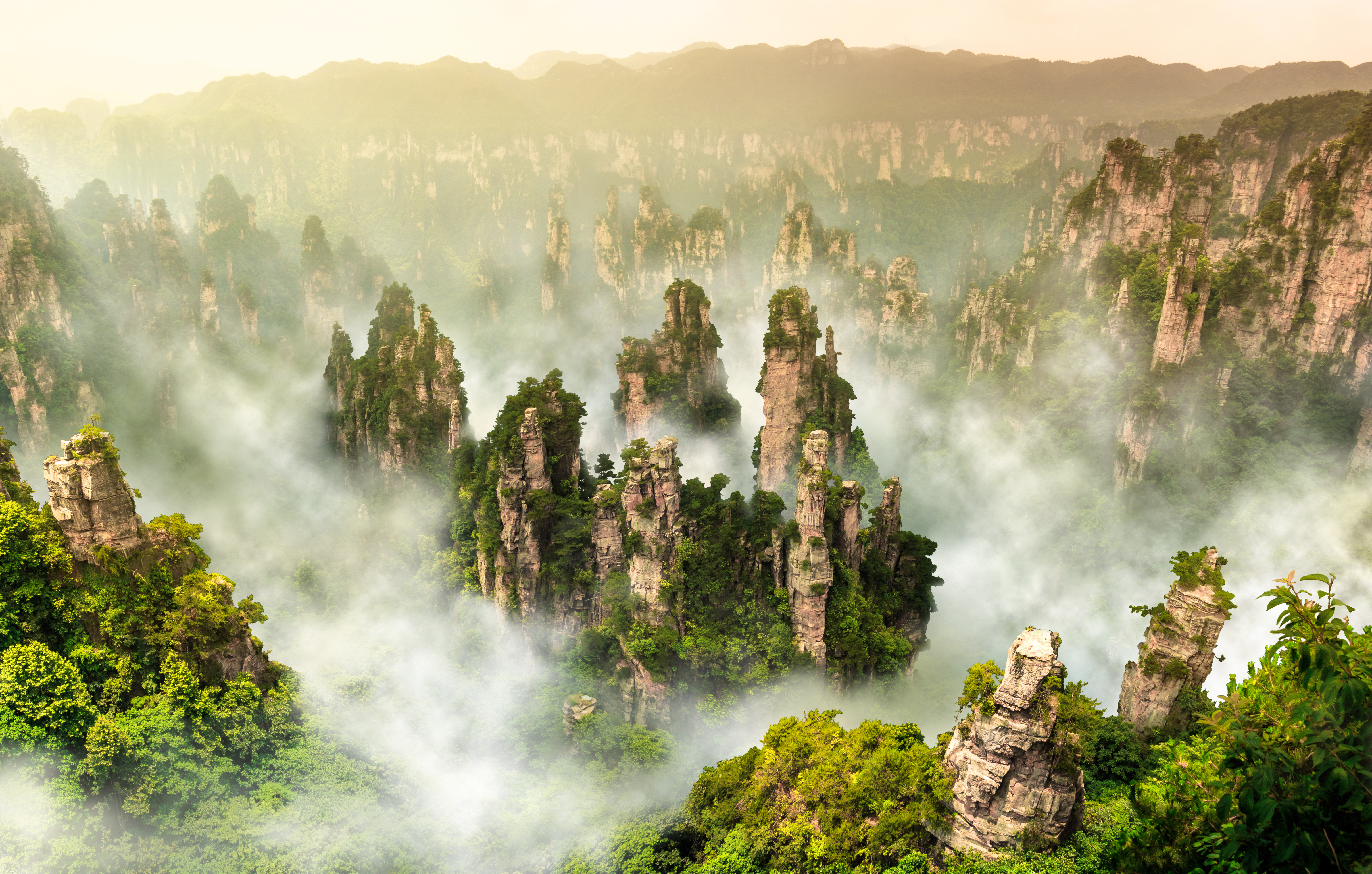 Tågede klippetårne og frodig grøn natur i Zhangjiajie Nationalpark, Hunan, Kina